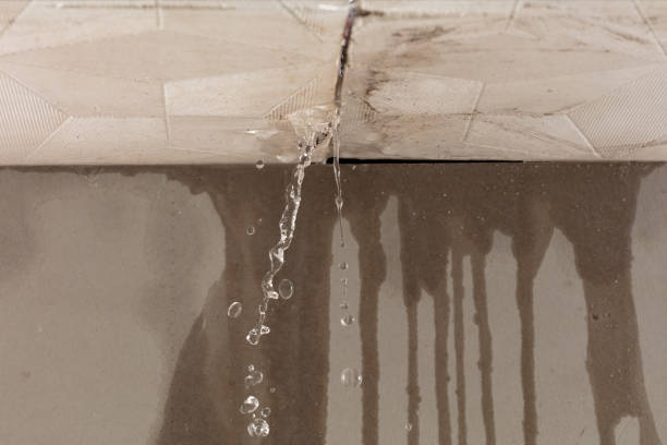 Professional Sewage Cleanup technician working in Lodi, OH